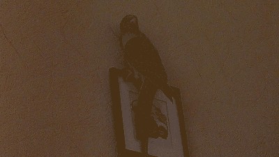 IMAG0746.jpg