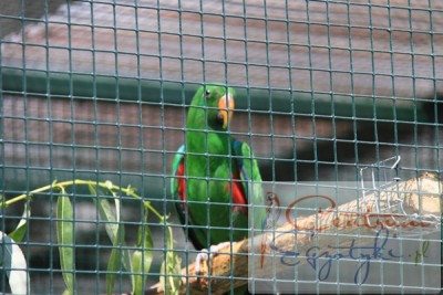 IMG_0979.JPG