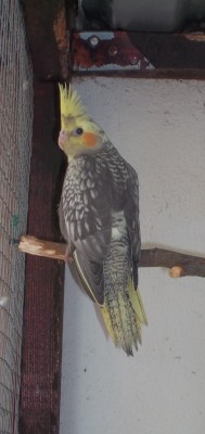 100_3292kk.jpg
