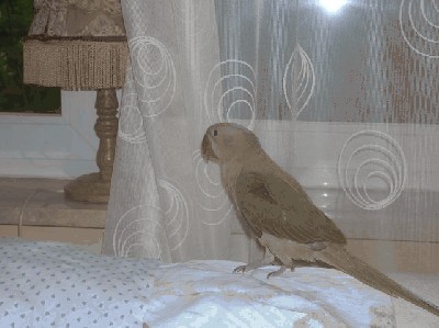 DSCN0622.JPG