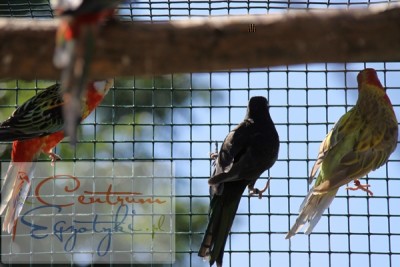 IMG_1068.JPG