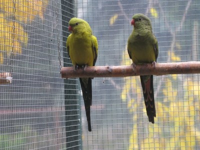 IMG_3585.JPG