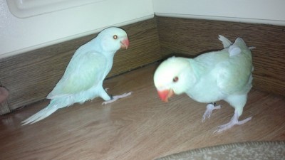 28052013862.jpg