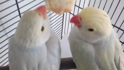 28052013876.jpg
