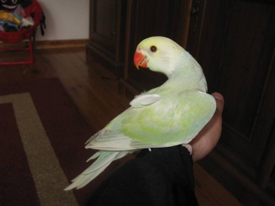 IMG_2890.JPG