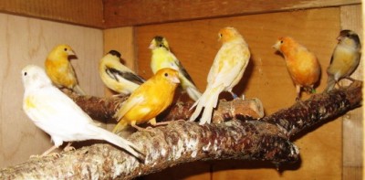 IMG_2409.JPG