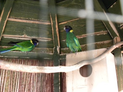DSCN0262.JPG