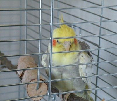 DSCN9011.JPG