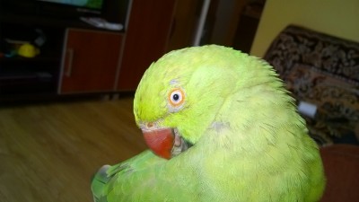 WP_20140514_002.jpg