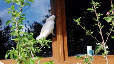 DSC_0029.jpg