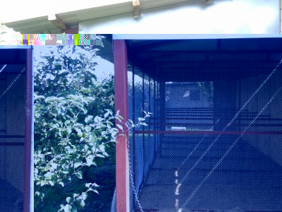 20140629_100301.jpg