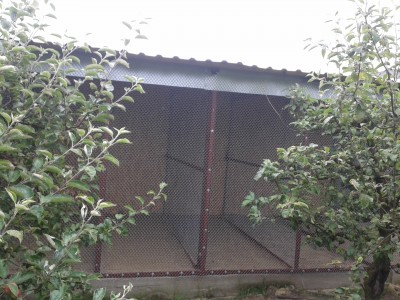 20140630_085234.jpg
