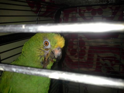 20140708_215642.jpg