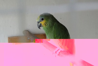 C__Data_Users_DefApps_AppData_INTERNETEXPLORER_Temp_Saved Images_24850553_6847_d.jpg