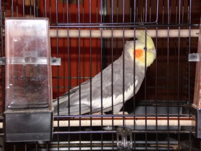 SAM_0527.JPG