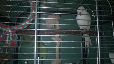 WP_20140927_012.jpg