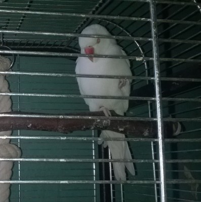 WP_20140927_012.jpg