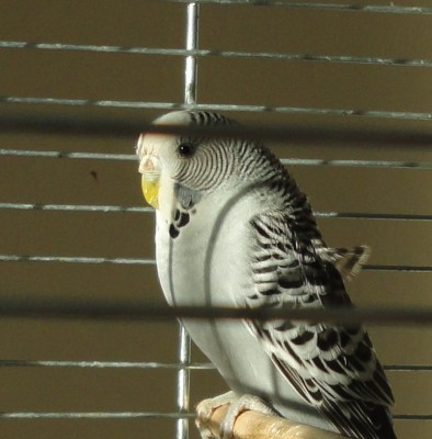 DSC03510.JPG