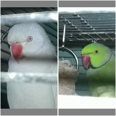 PhotoFrameGrid_635475873276133545.jpg