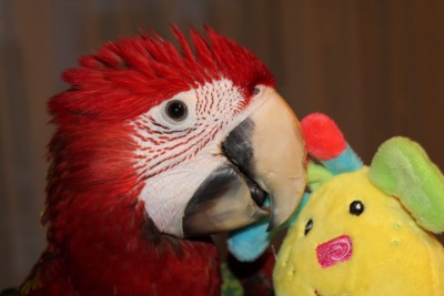IMG_1856.JPG