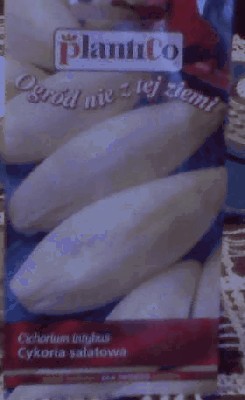 C2.jpg