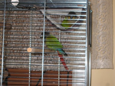 IMG_0008.JPG