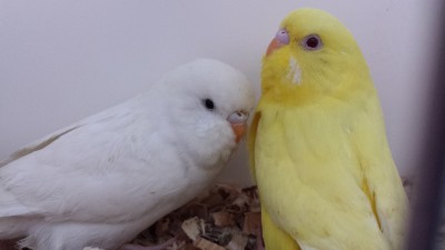 20150414_142218.jpg