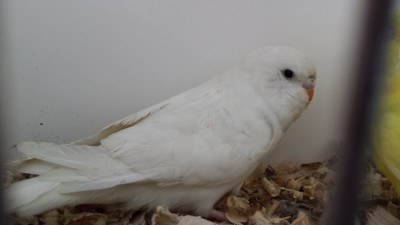 20150414_142317.jpg