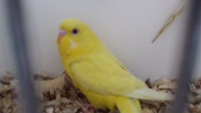20150414_142136.jpg