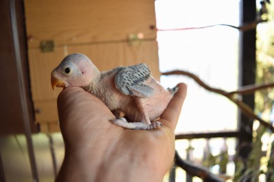 DSC_0680.JPG