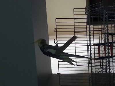 20150708_144445.jpg