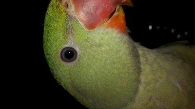 20150727_111550[1].jpg