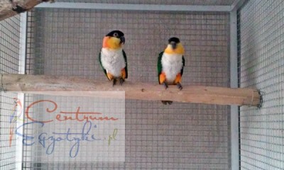 20150919_174405.jpg