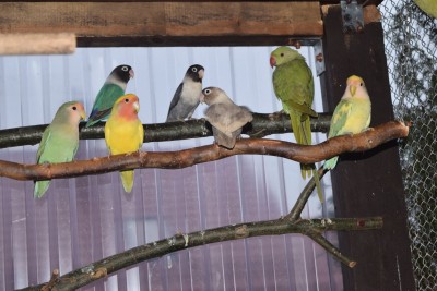 DSC_0930.JPG