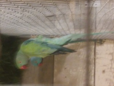 20160104_193931.jpg