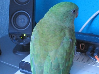 IMG_3911.JPG