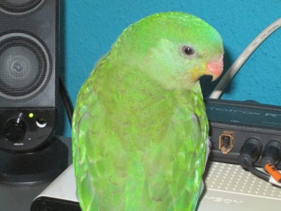 IMG_3908.JPG