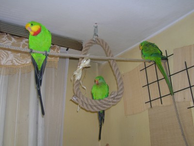 DSCN2116.JPG