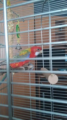 received_1129362167088307.jpeg