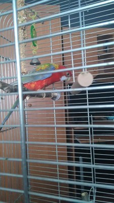 received_1129362160421641.jpeg