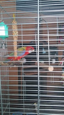 received_1129360657088458.jpeg