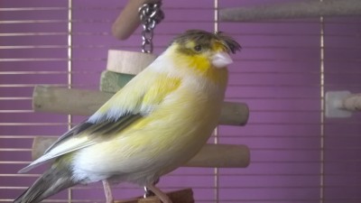 WP_20160227_006.jpg