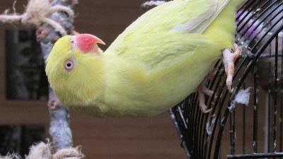 IMG_2124.JPG