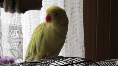 IMG_2121.JPG