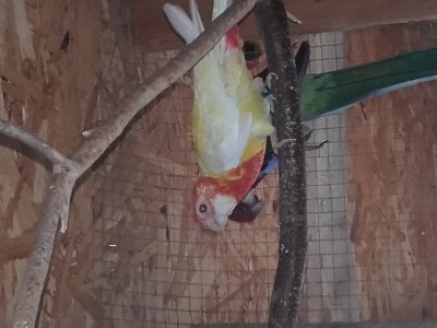 20160619_121713.jpg