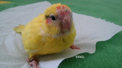 20160706_164453.jpg