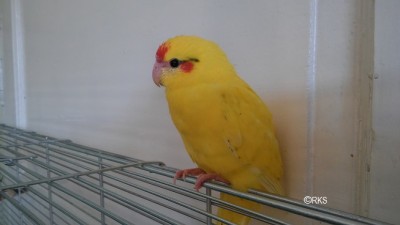 20160706_164529.jpg