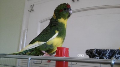 20160706_164721.jpg