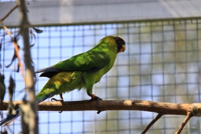 IMG_1481.JPG