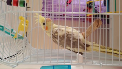 20161004_143934.jpg